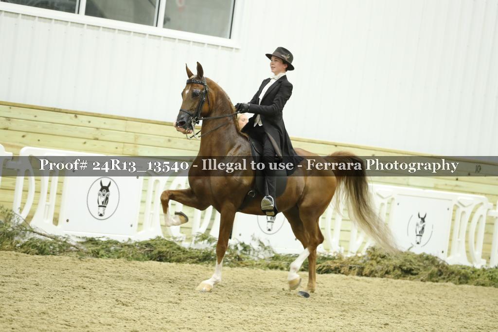 Proof 24R13_13540