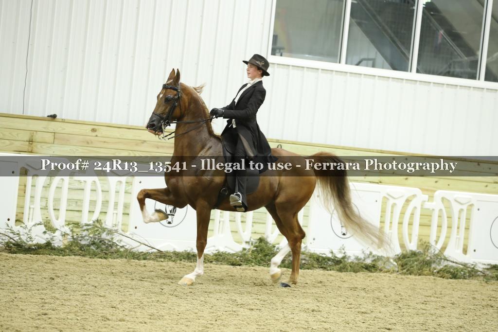Proof 24R13_13541