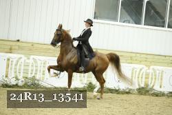 24R13_13541 proof