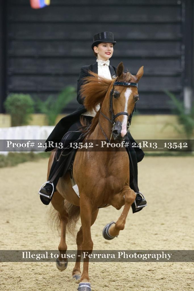 Proof 24R13_13542