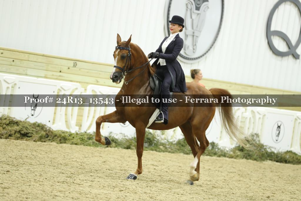 Proof 24R13_13543