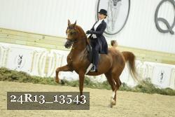 24R13_13543 proof