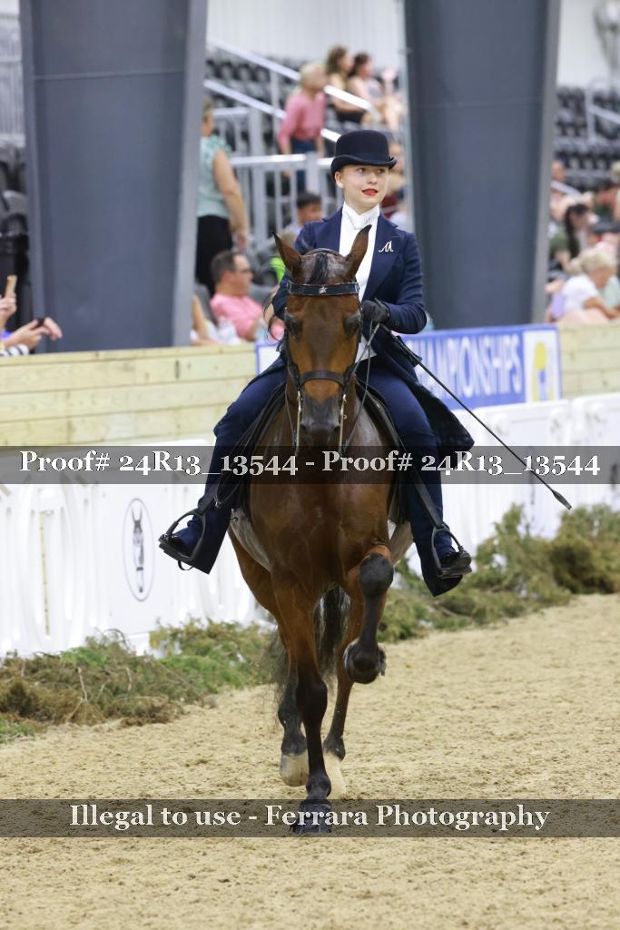 Proof 24R13_13544