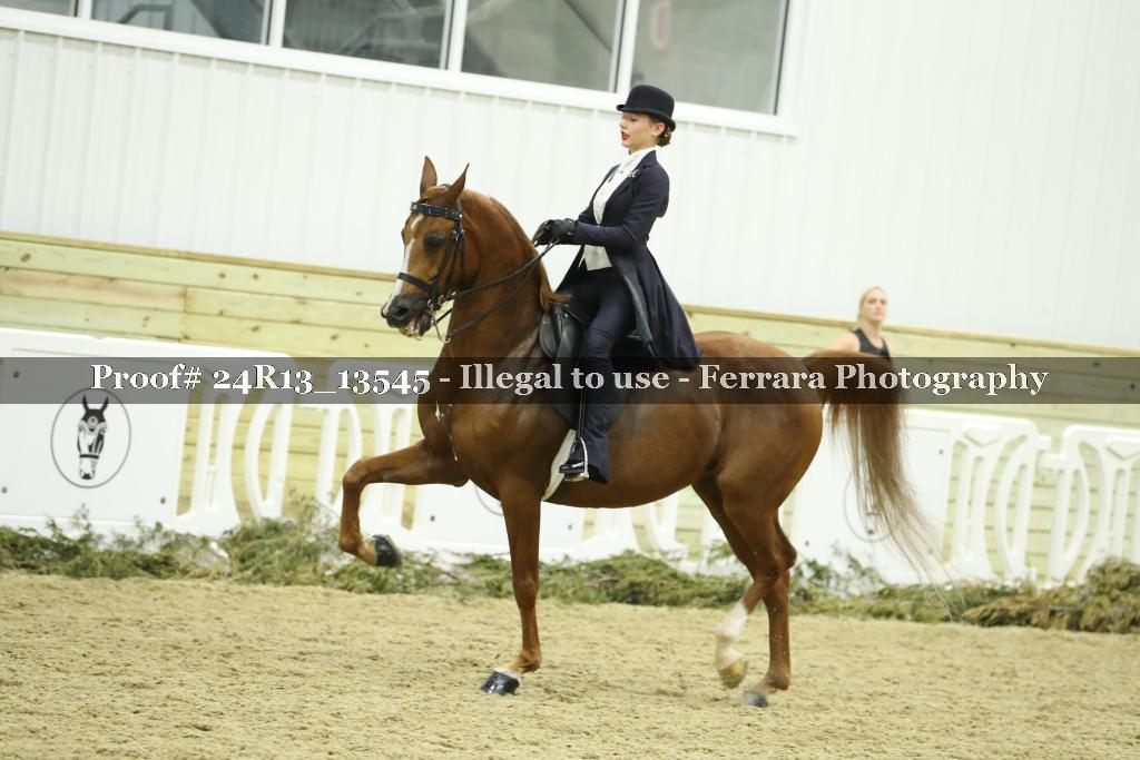 Proof 24R13_13545