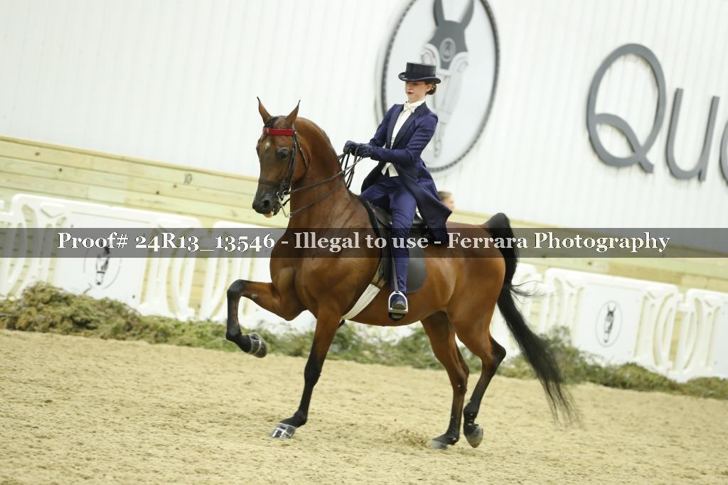 Proof 24R13_13546