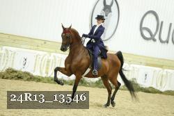 24R13_13546 proof
