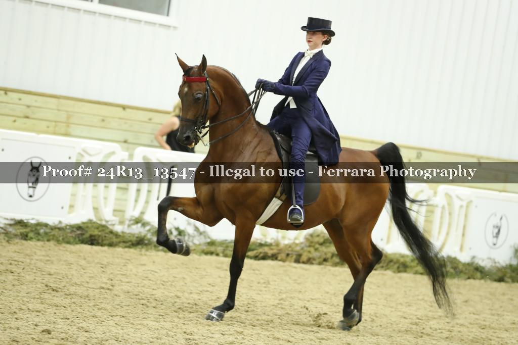 Proof 24R13_13547