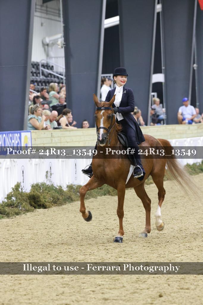 Proof 24R13_13549