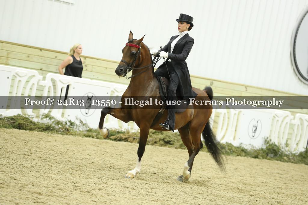 Proof 24R13_13550