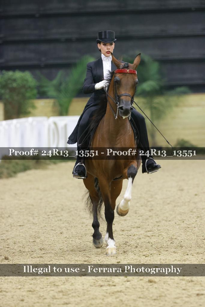 Proof 24R13_13551