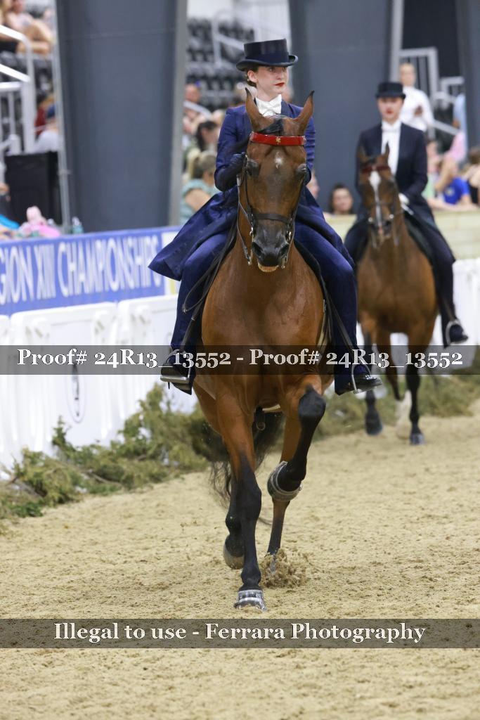 Proof 24R13_13552