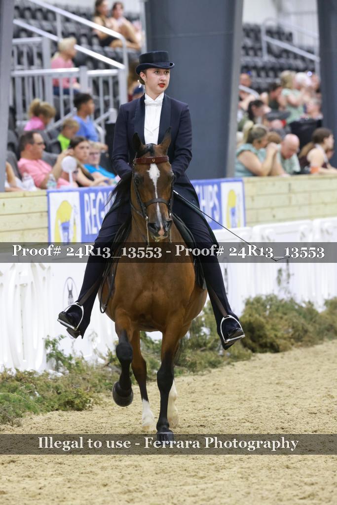 Proof 24R13_13553