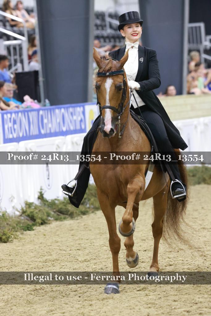 Proof 24R13_13554