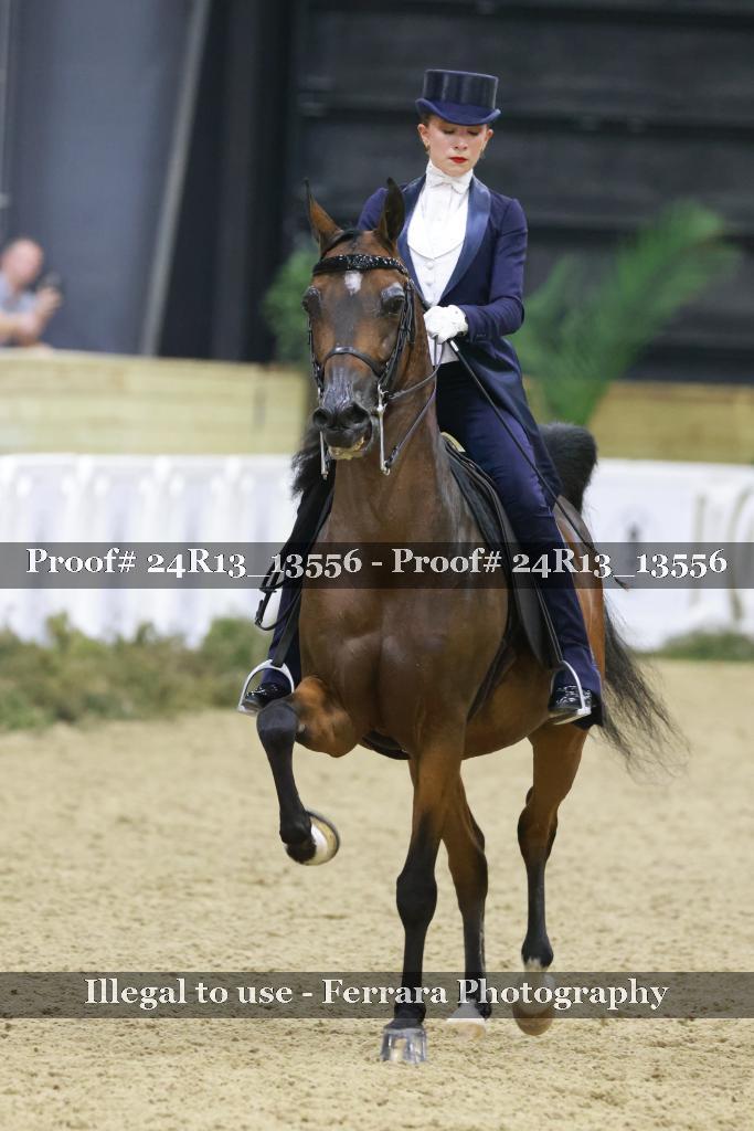 Proof 24R13_13556