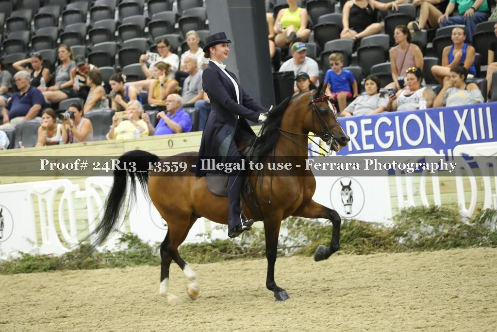 Proof 24R13_13559