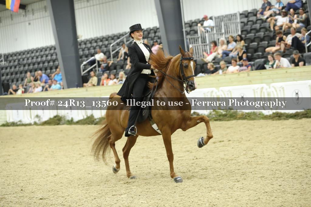 Proof 24R13_13560