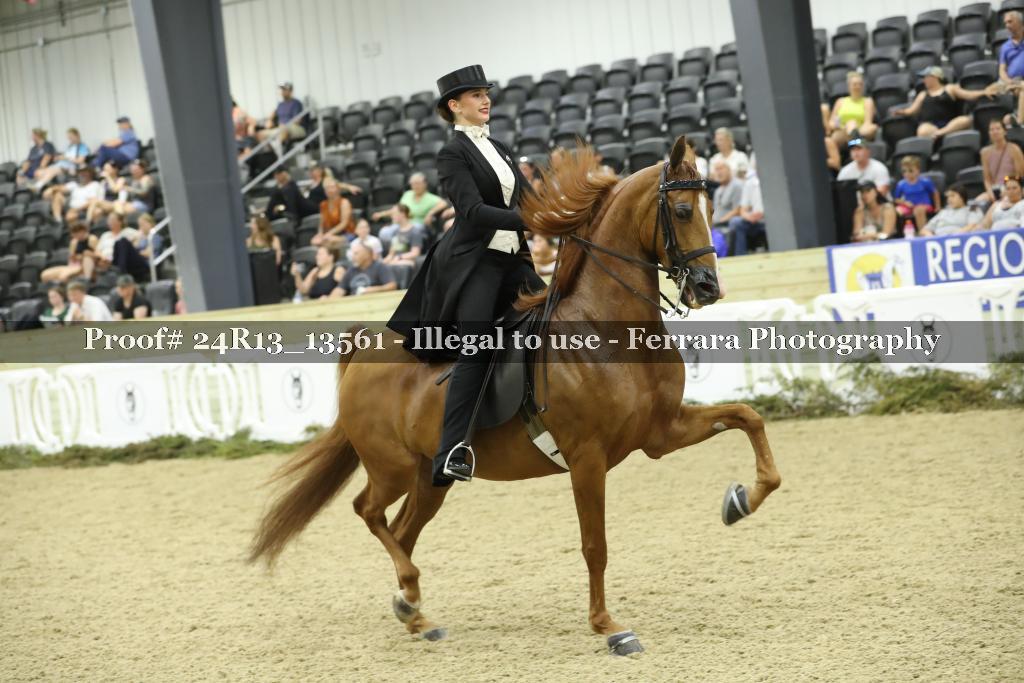 Proof 24R13_13561