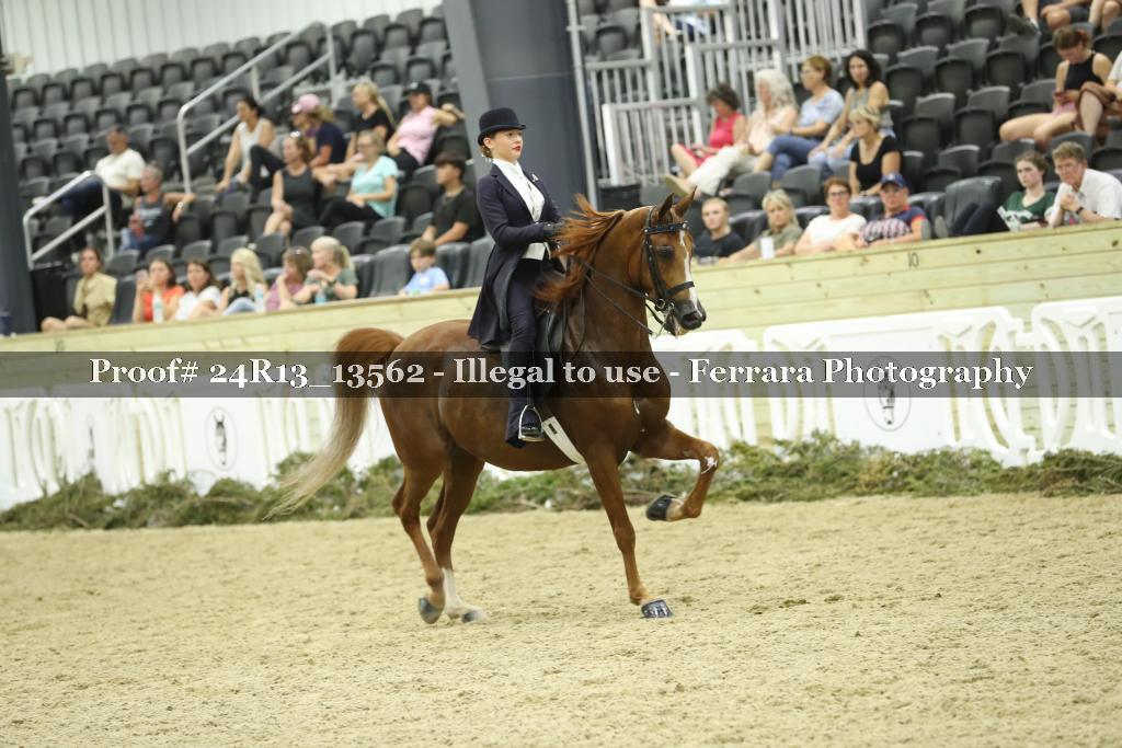 Proof 24R13_13562