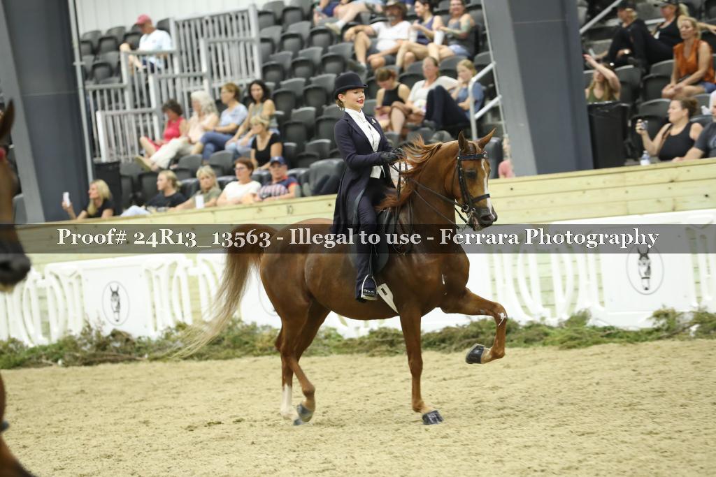 Proof 24R13_13563