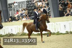 24R13_13563 proof