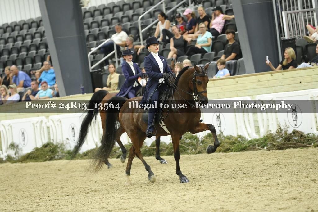 Proof 24R13_13564