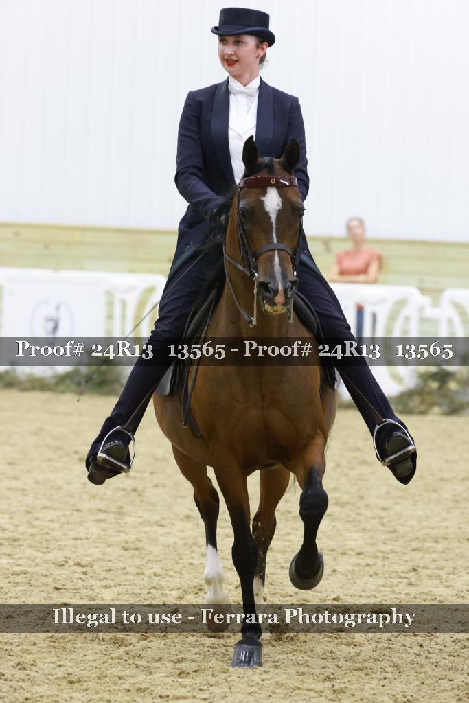 Proof 24R13_13565