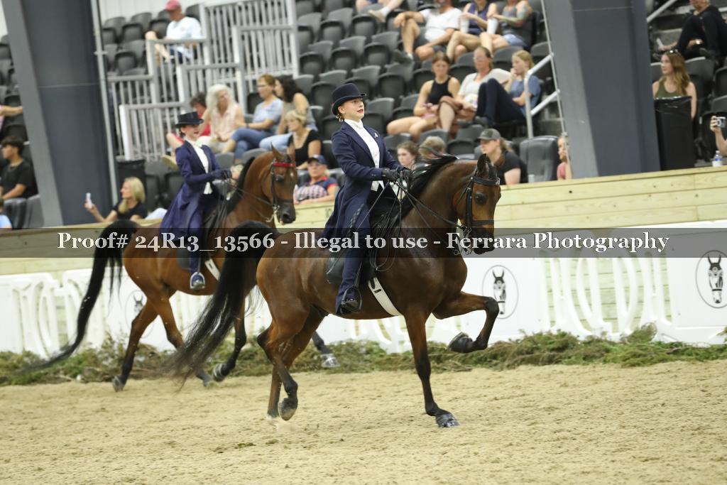 Proof 24R13_13566