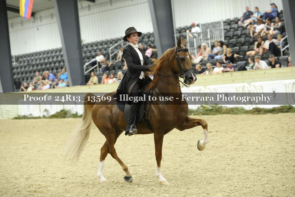 Proof 24R13_13569