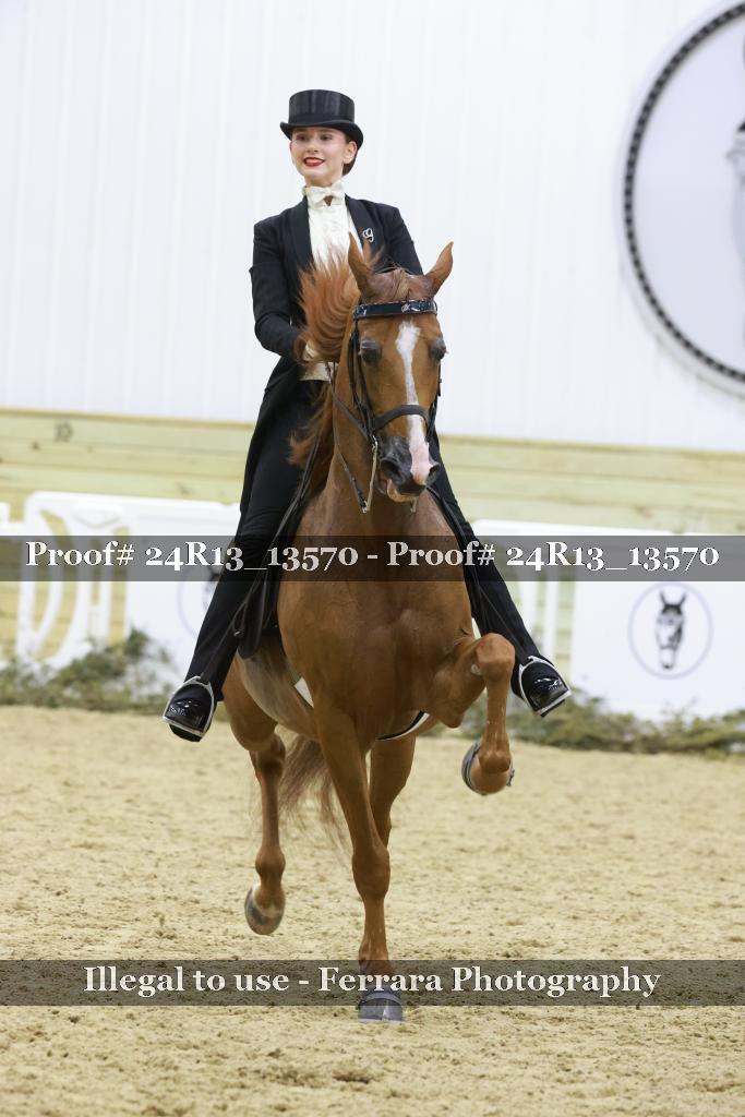 Proof 24R13_13570