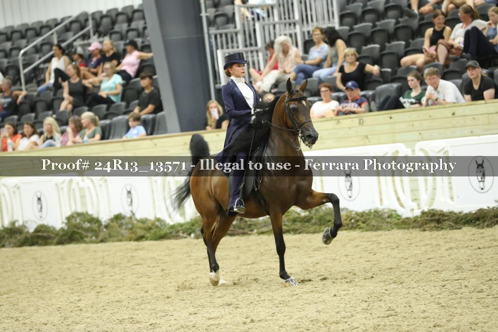 Proof 24R13_13571