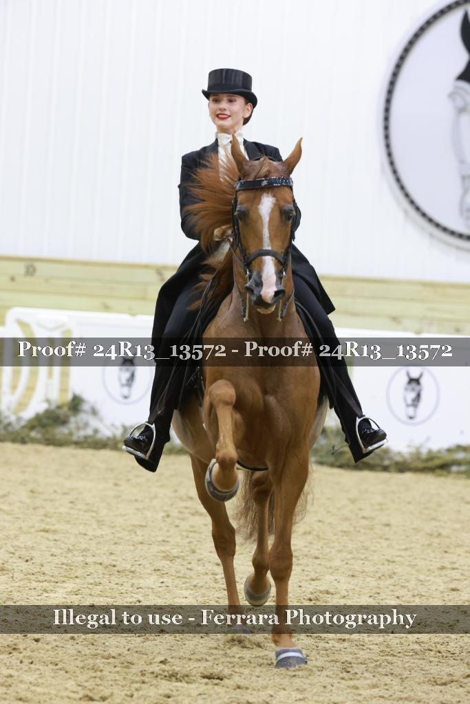 Proof 24R13_13572