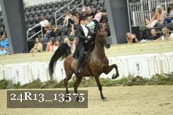 24R13_13575 proof