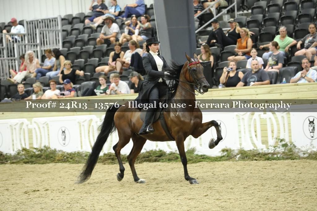 Proof 24R13_13576