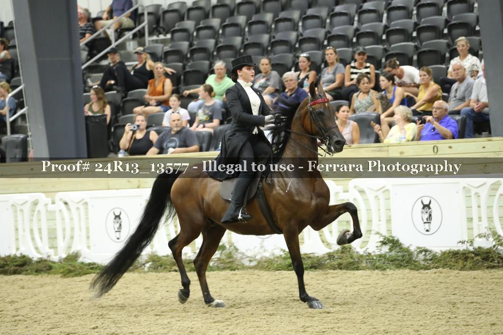 Proof 24R13_13577