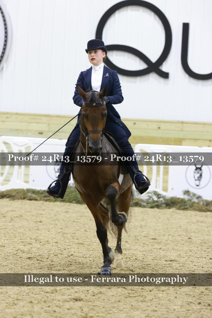 Proof 24R13_13579