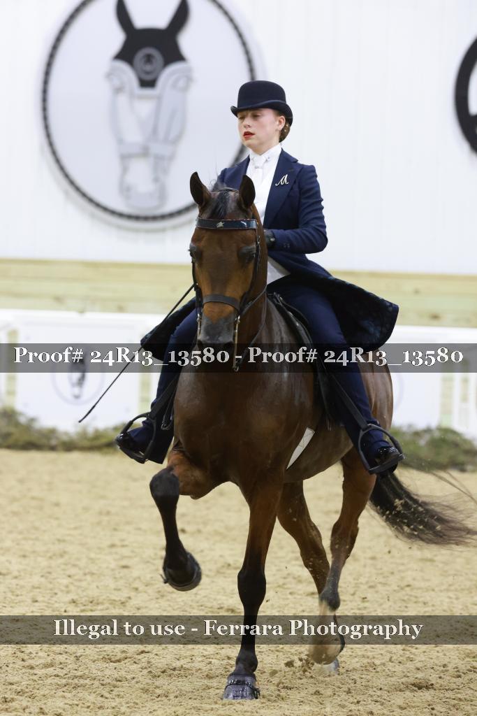 Proof 24R13_13580