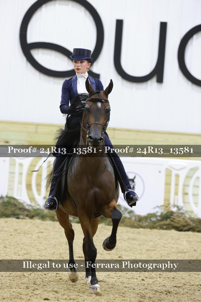 Proof 24R13_13581