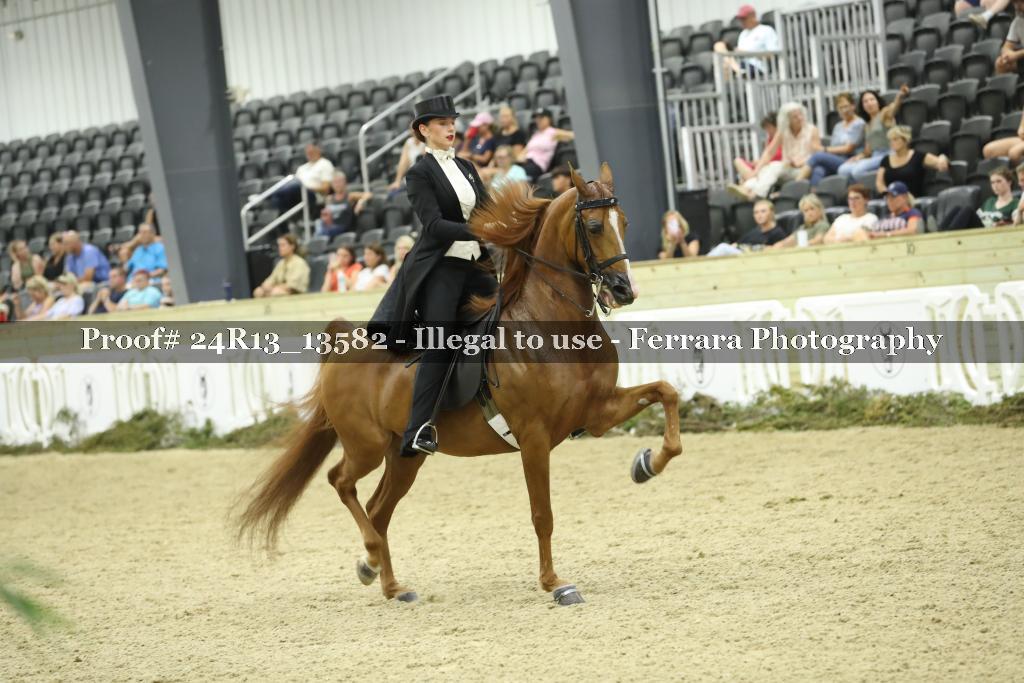 Proof 24R13_13582