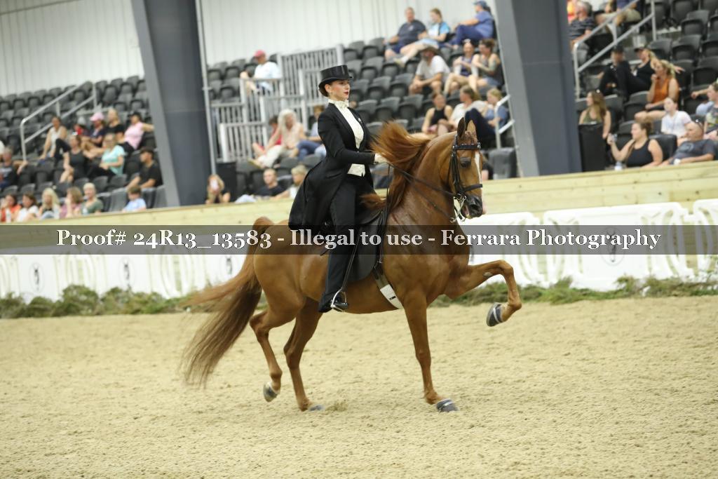 Proof 24R13_13583
