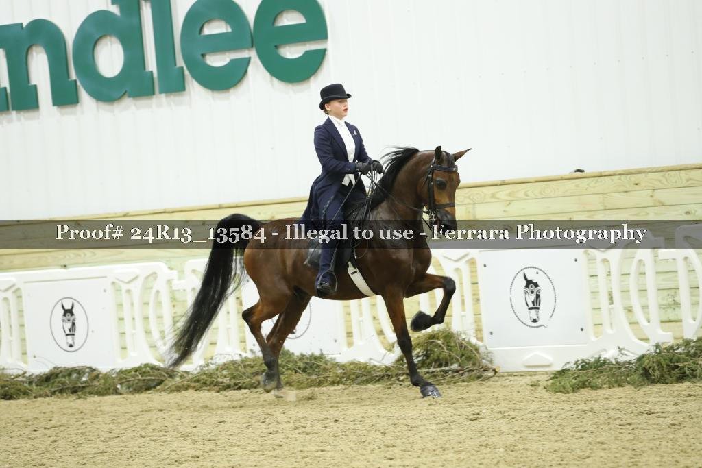 Proof 24R13_13584