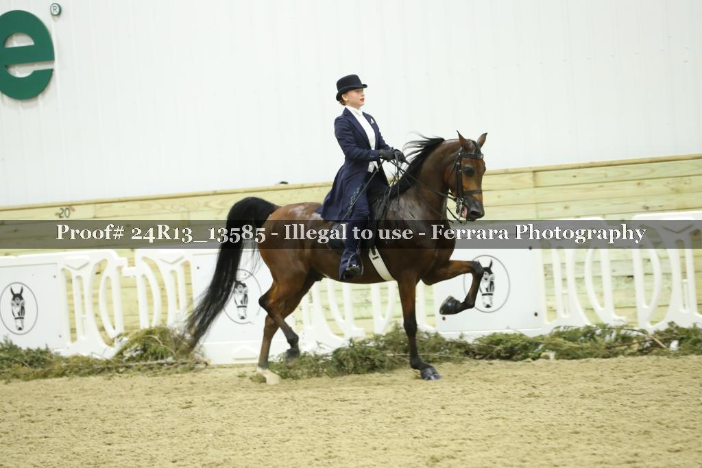Proof 24R13_13585