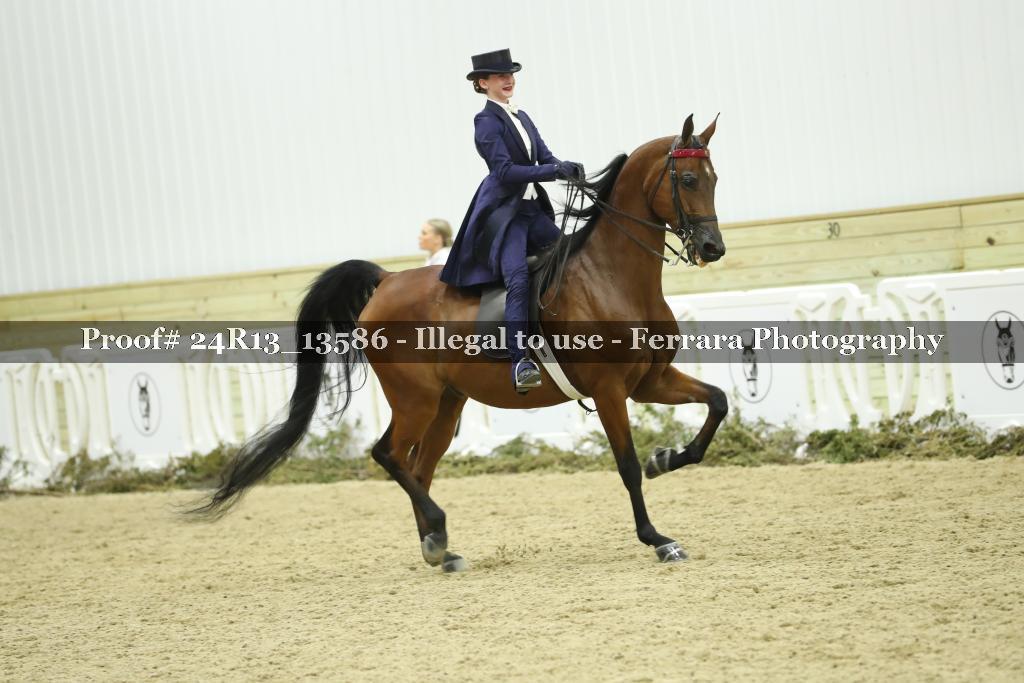 Proof 24R13_13586