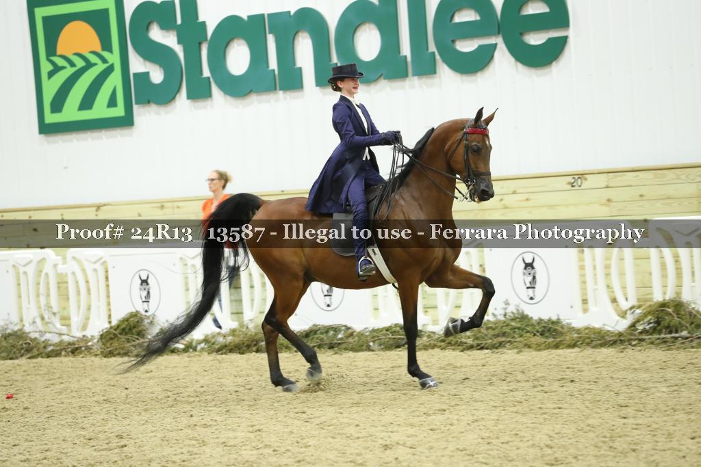Proof 24R13_13587