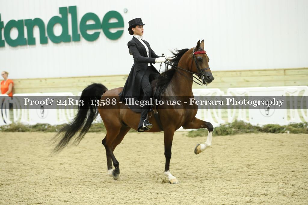 Proof 24R13_13588