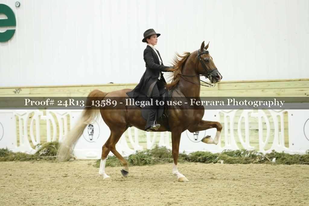Proof 24R13_13589