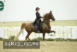 24R13_13589 proof