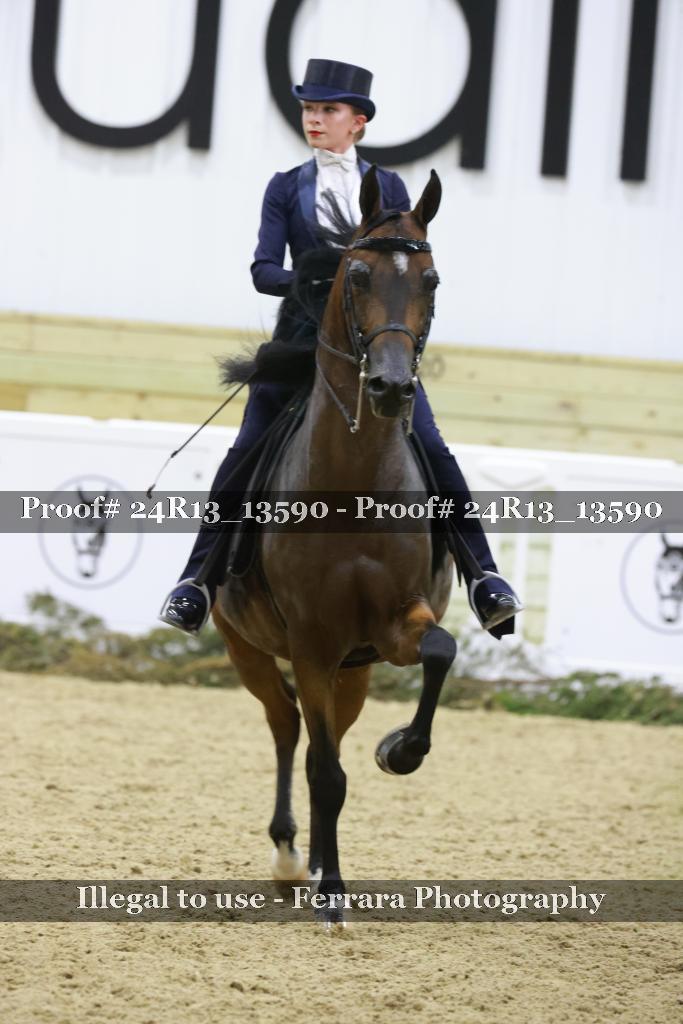 Proof 24R13_13590