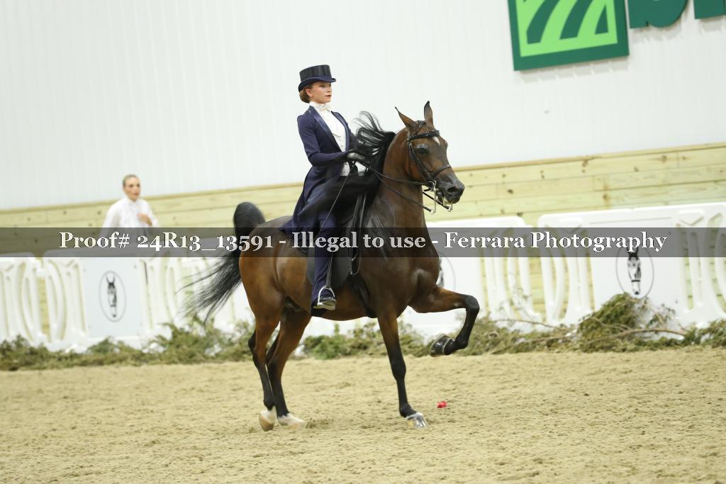Proof 24R13_13591