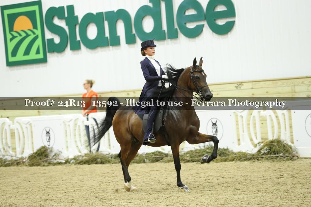 Proof 24R13_13592