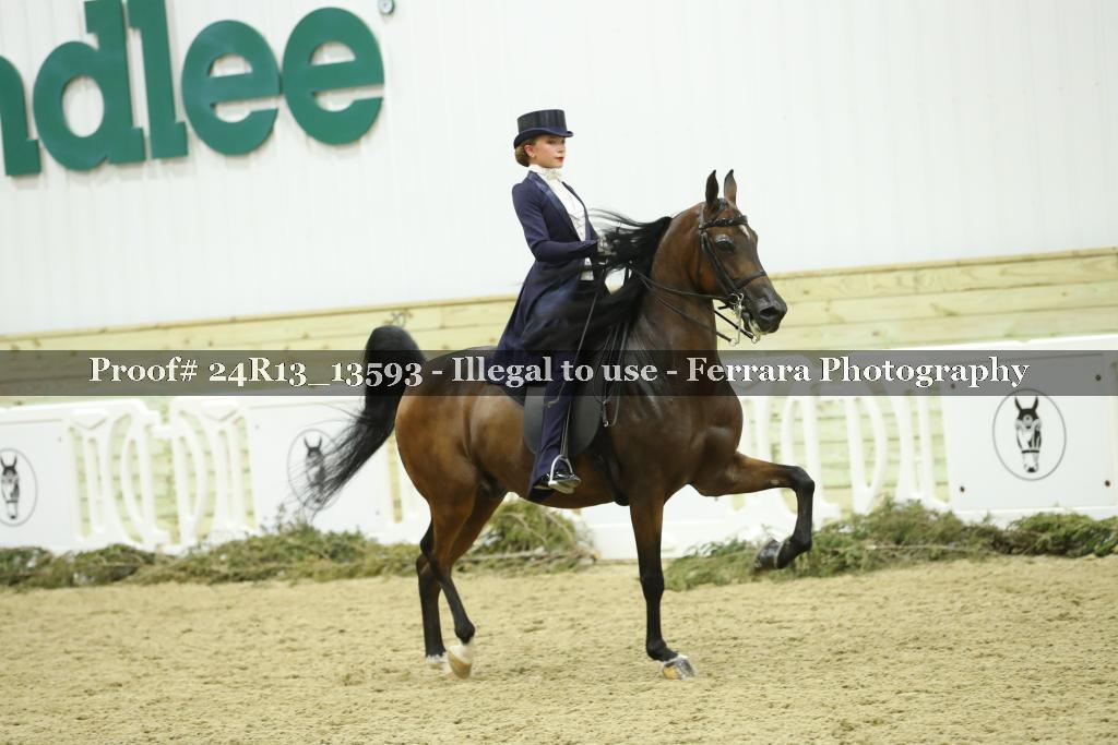 Proof 24R13_13593